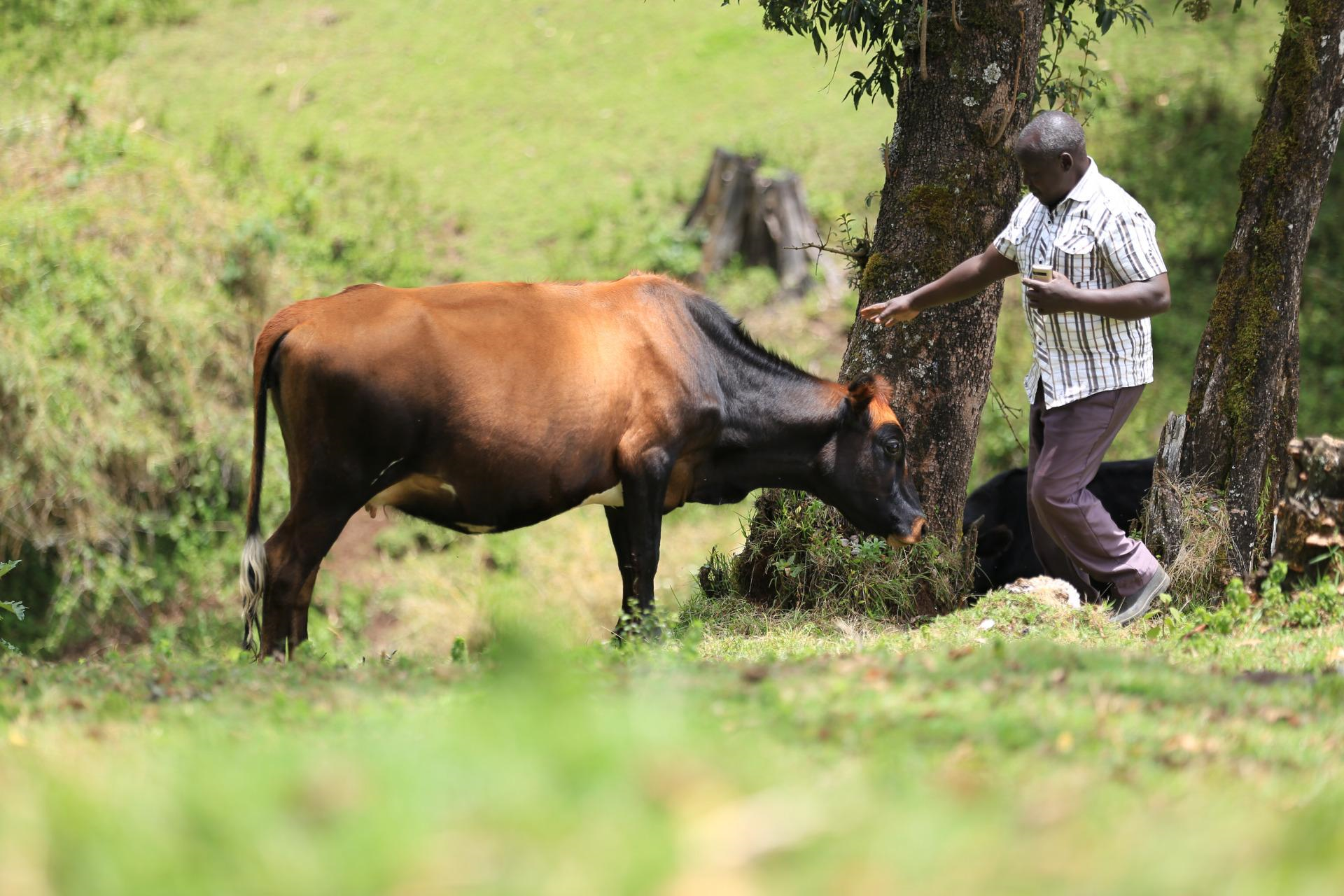 Farm Consultation